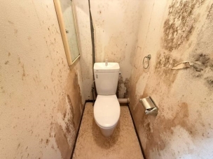 トイレの写真です。 トイレ